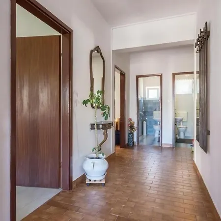 Marinka Ζαντάρ